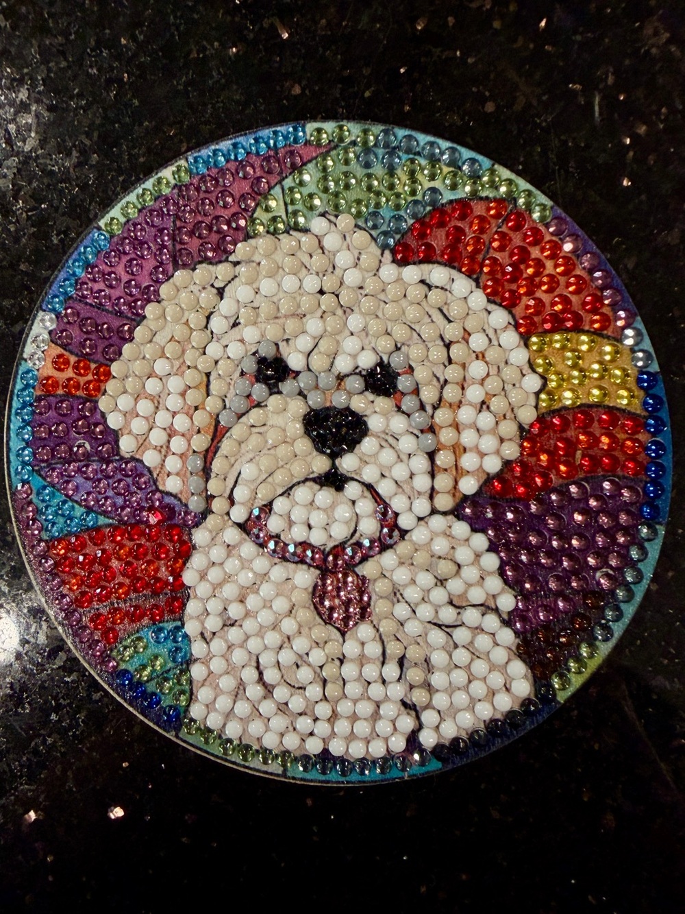 Custom Mosaic Dog Coasters (Set of 7) - Picture 3 of 9